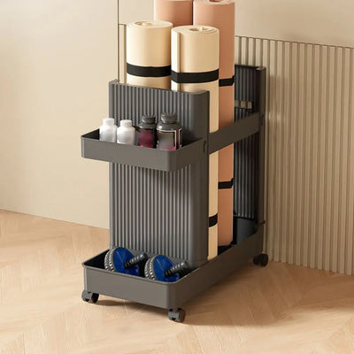 Multi-functional Gym Equipment Organizer Trolley Save Space Large Capacity Sports Equipment Storage Rack Portable Cart Stable