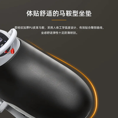 Electric Horseback Riding Machine, Home Fitness Equipment for Indoor Fitness and Rehabilitation Exercise